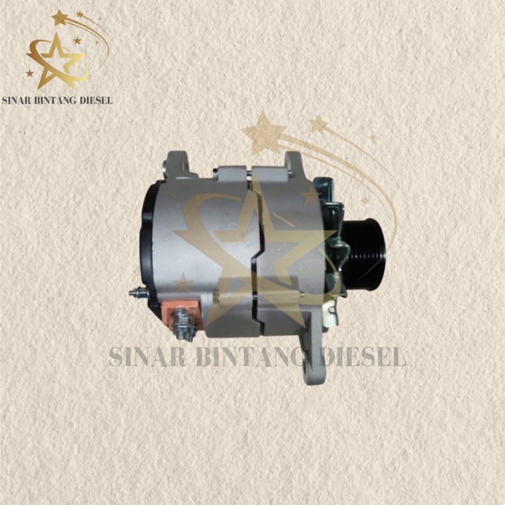 Altenator Zoomlion Ze215 Ze215e TVS