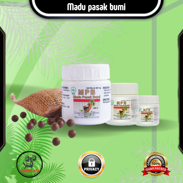 Obat kuat alami Madu Pasak Bumi penambah stamina vitalitas pria agar tahan lama Penyubur sperma