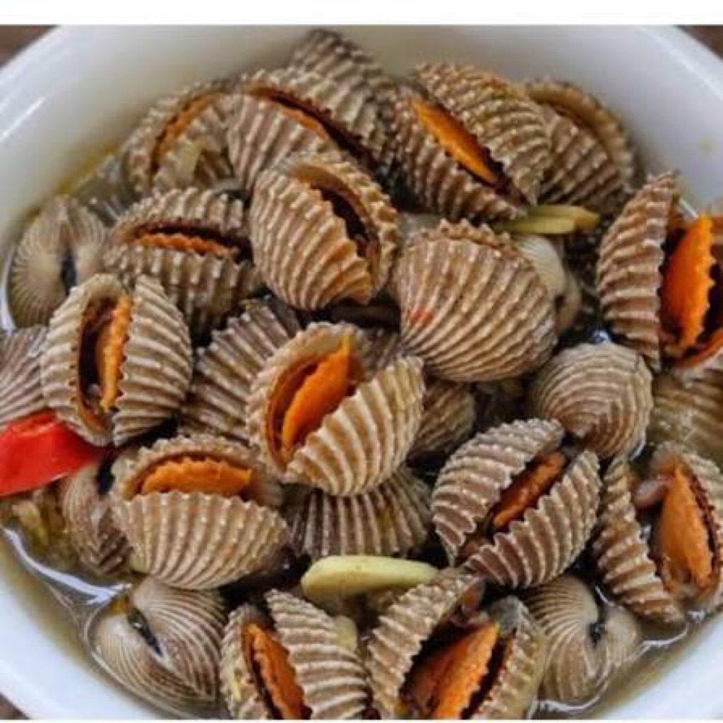 Kerang dara fresh 500 gr - 1 Kg Bandung
