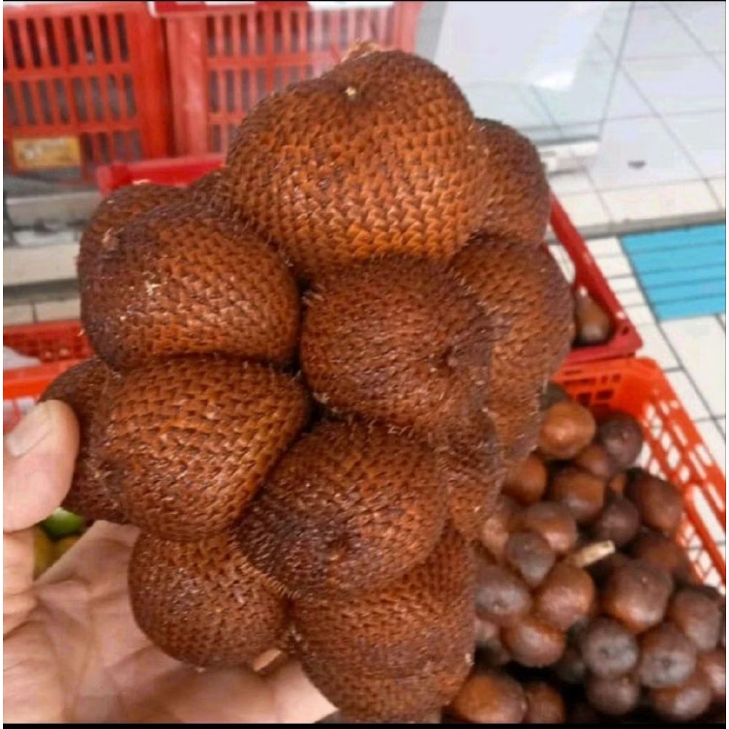 buah salak gula pasir Bali super jumbo cruncy 1kg