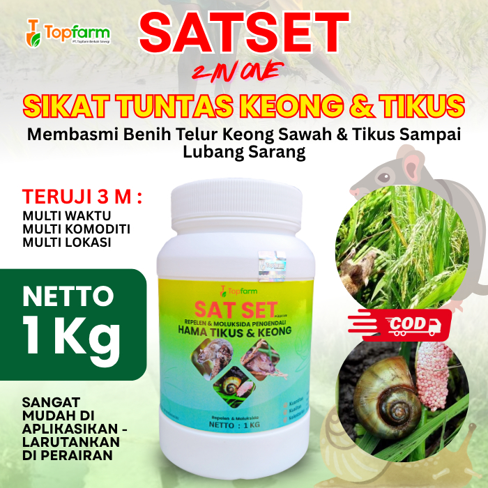 Obat Tikus Paling Ampuh / Obat Tikus Alami / Obat Pengendali Tikus Sawah / Obat Keong Sawah Paling A