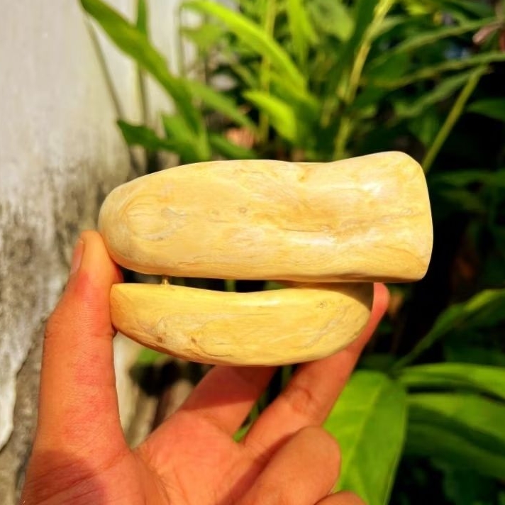 Gelang Akar Bahar Putih Polos Size Babon Asli Berkualitas / Akar Bahar Asli