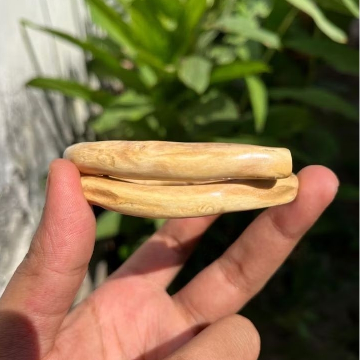 Gelang Akar Bahar Putih Polos Size Kantoran Asli Berkualitas / Akar Bahar Asli