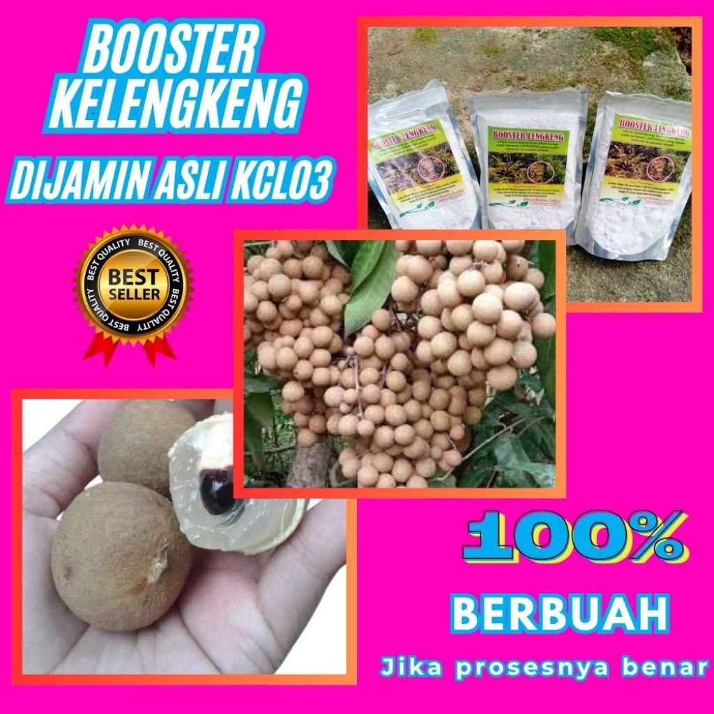Booster Kelengkeng Serbuk, Booster Kelengkeng Terbaik