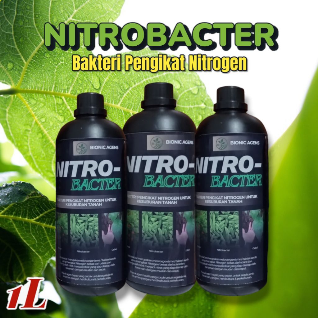 Nitrobacter pupuk pertanian