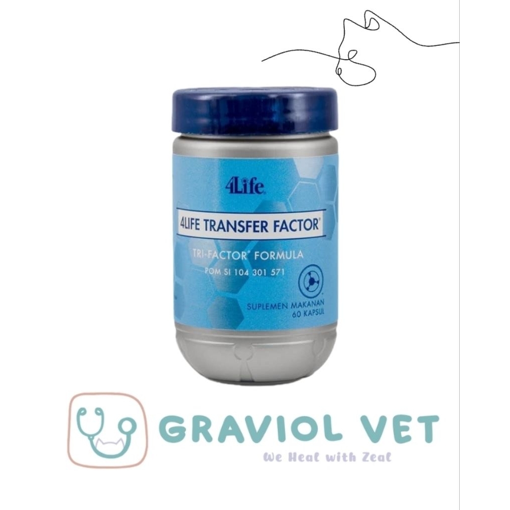 Imun Booster Kucing dan Anjing