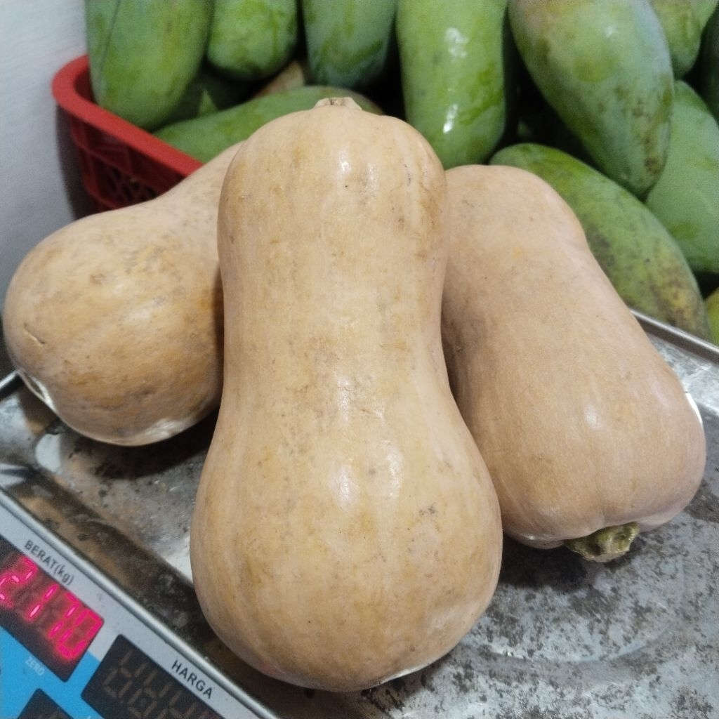 LABU MADU BUTTERNUT 1 KG / Labu madu premium rasa manis gurih