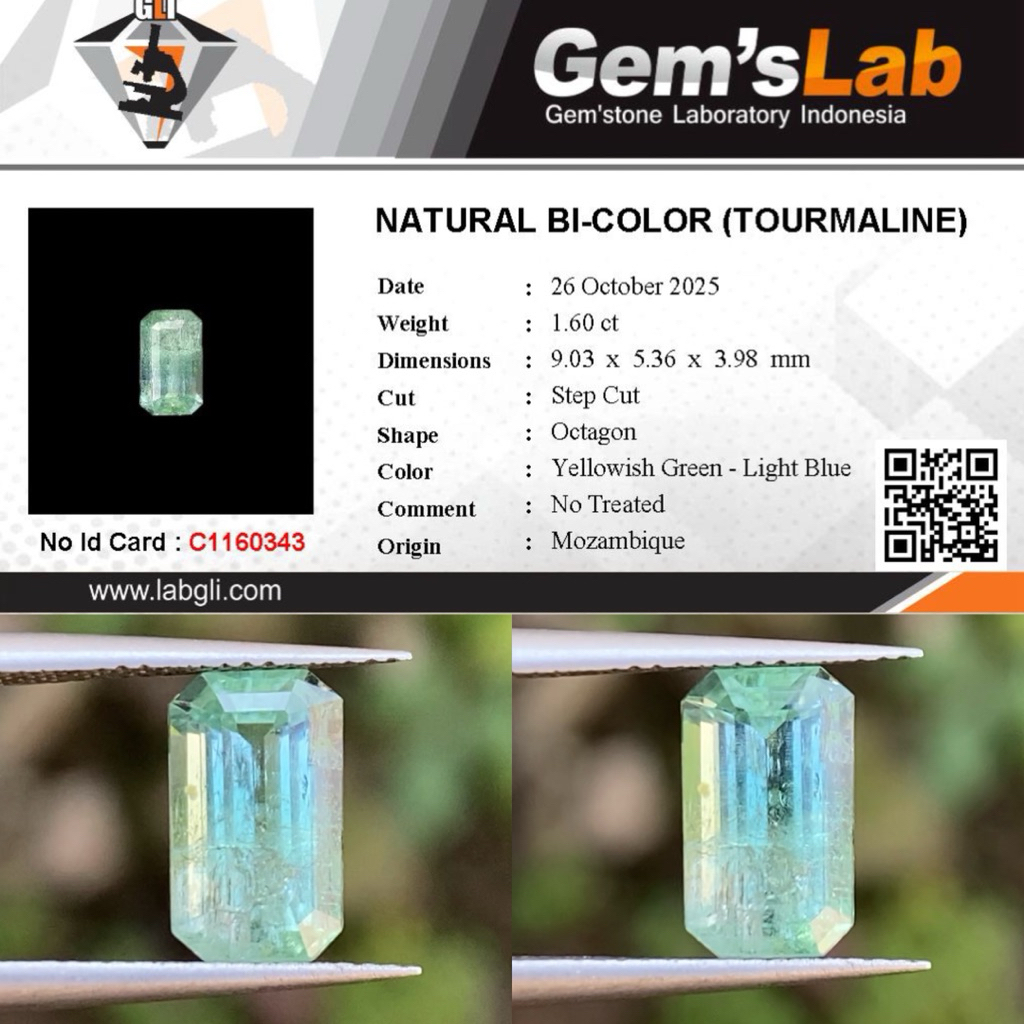1,60 cts Natural Bi-Color Tourmaline origin Mozambique No Treatment Memo GLI