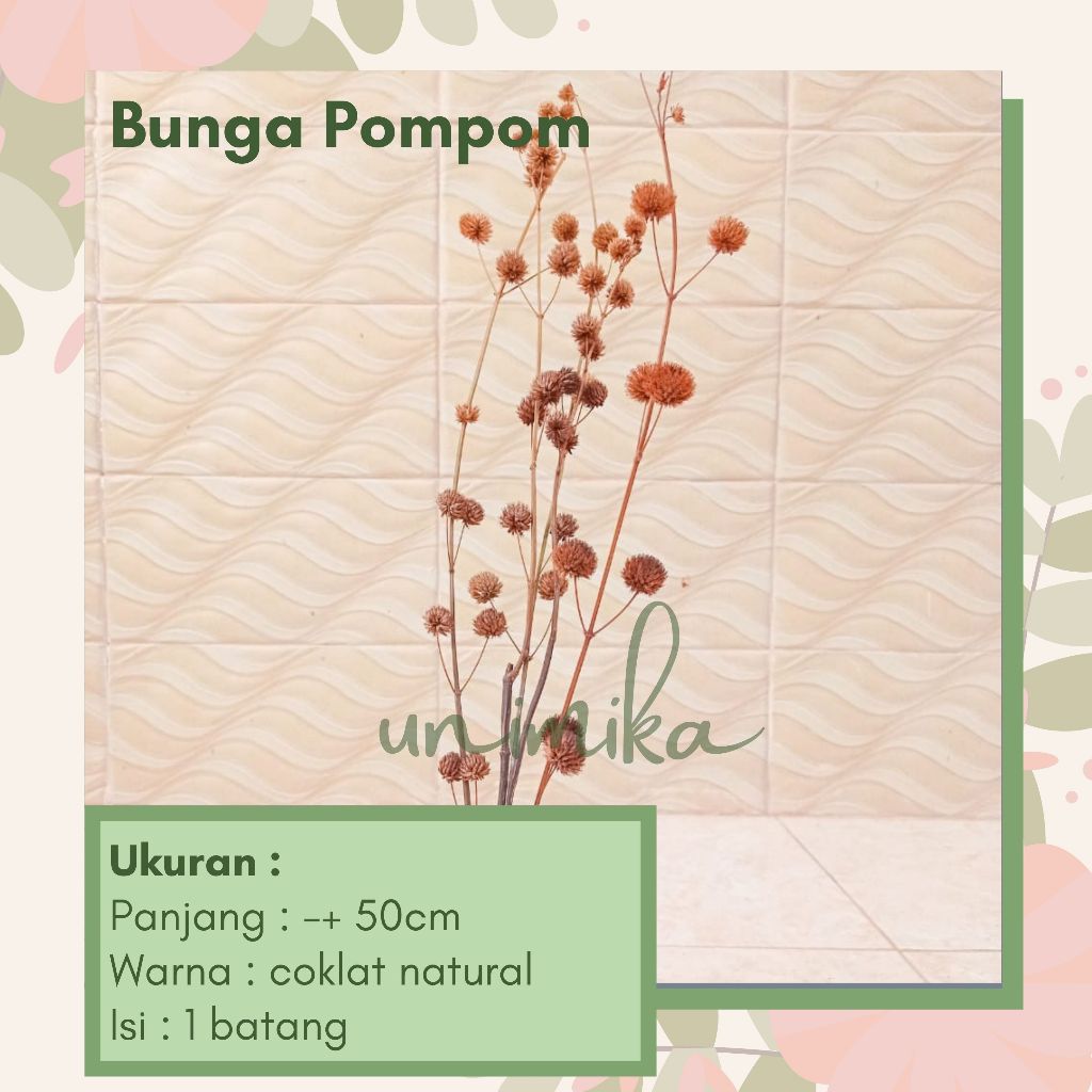Bunga pompom | Pompom kering | Daun & Bunga Kering | Murah di Bali
