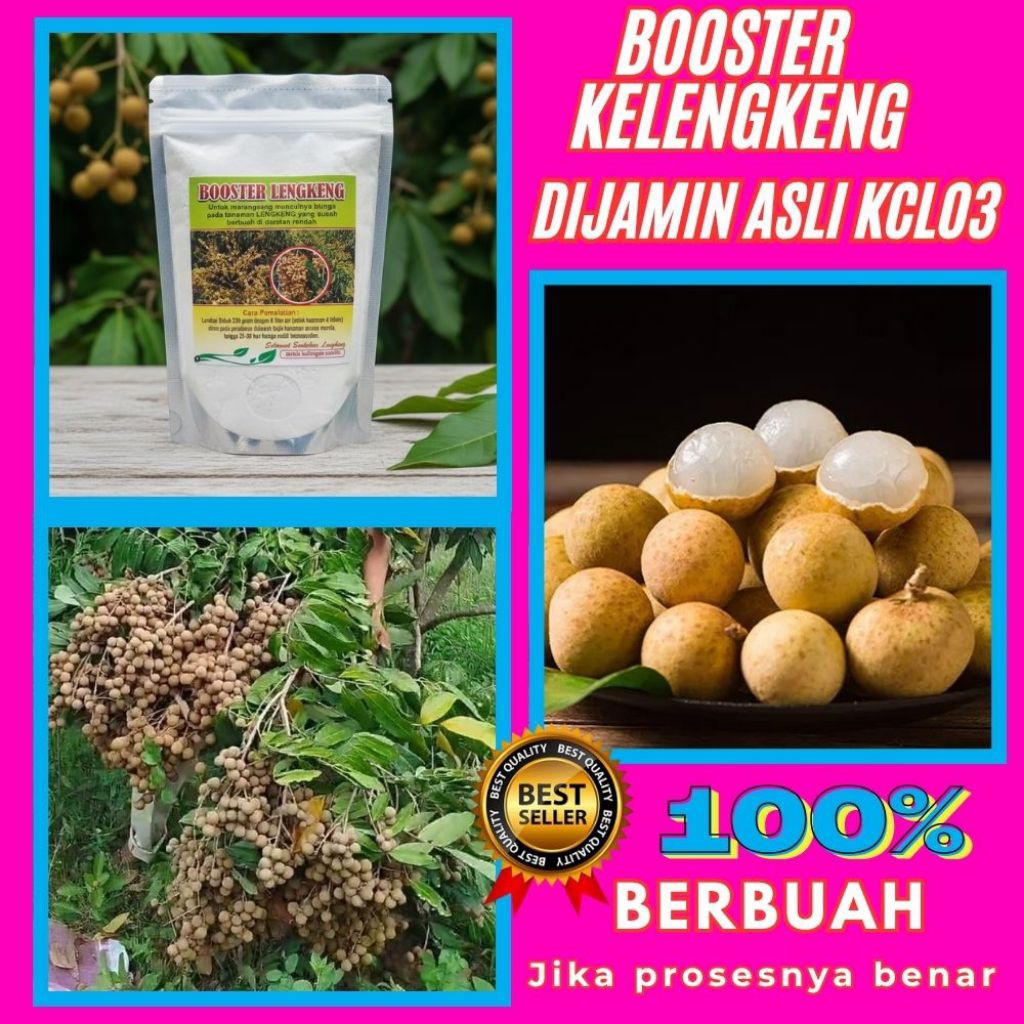 Booster Kelengkeng Murni 1 Kg, Booster Kelengkeng Kcl, Booster Kelengkeng Kclo3 Terdekat