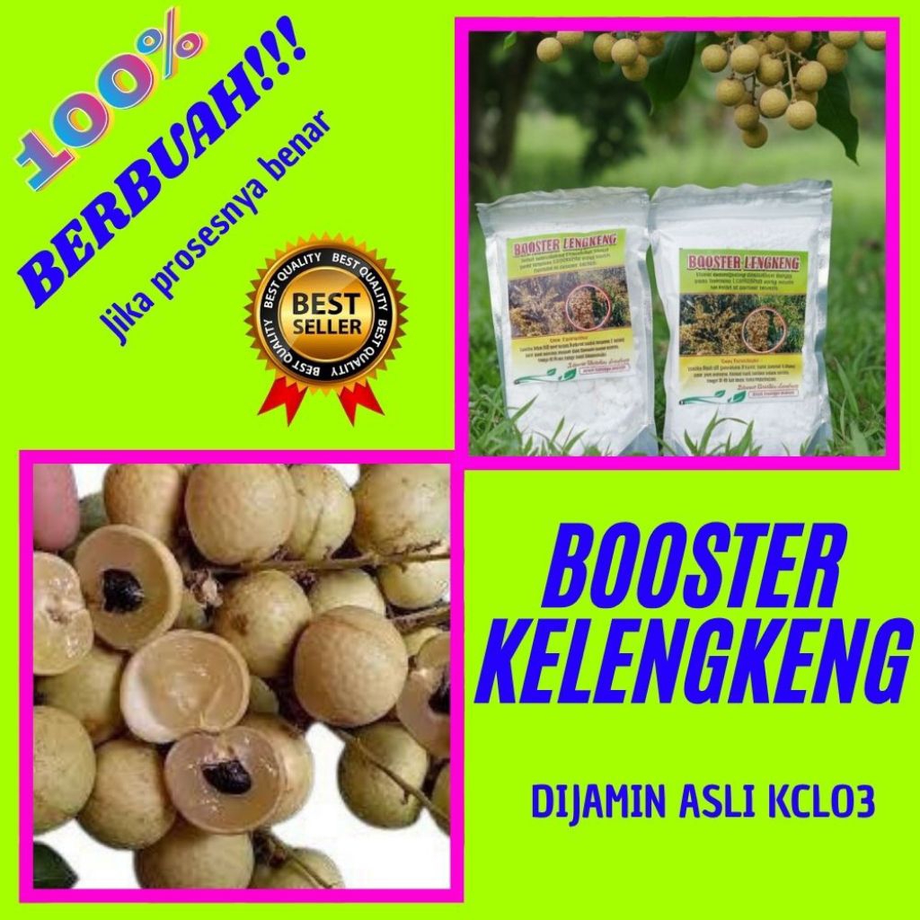 Booster Kelengkeng Serbuk, Booster Kelengkeng Terbaik, Booster Kelengkeng Terdekat