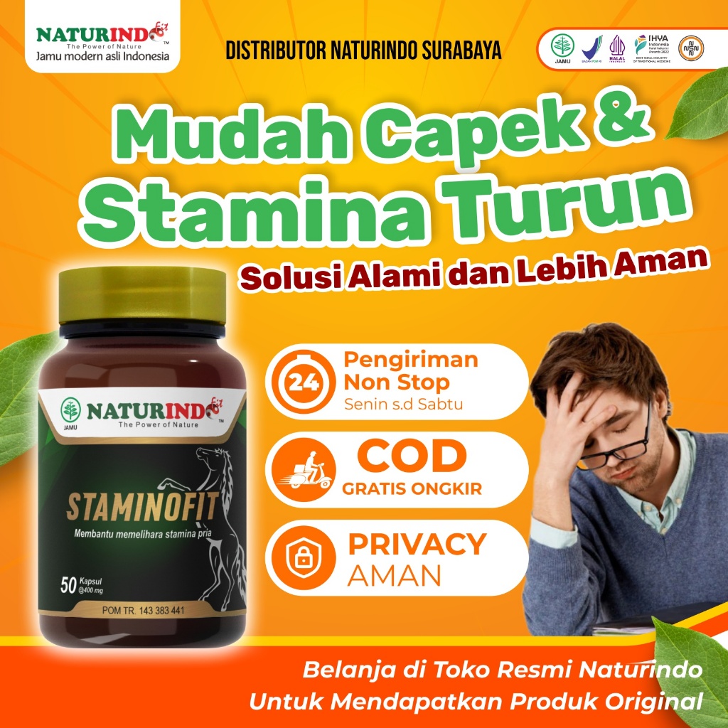 STAMINOFIT NATURINDO HERBAL