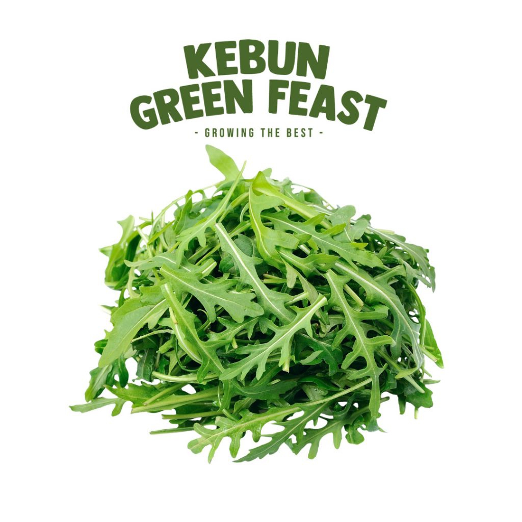 Arugula Lettuce - Rocket Fresh Lokal