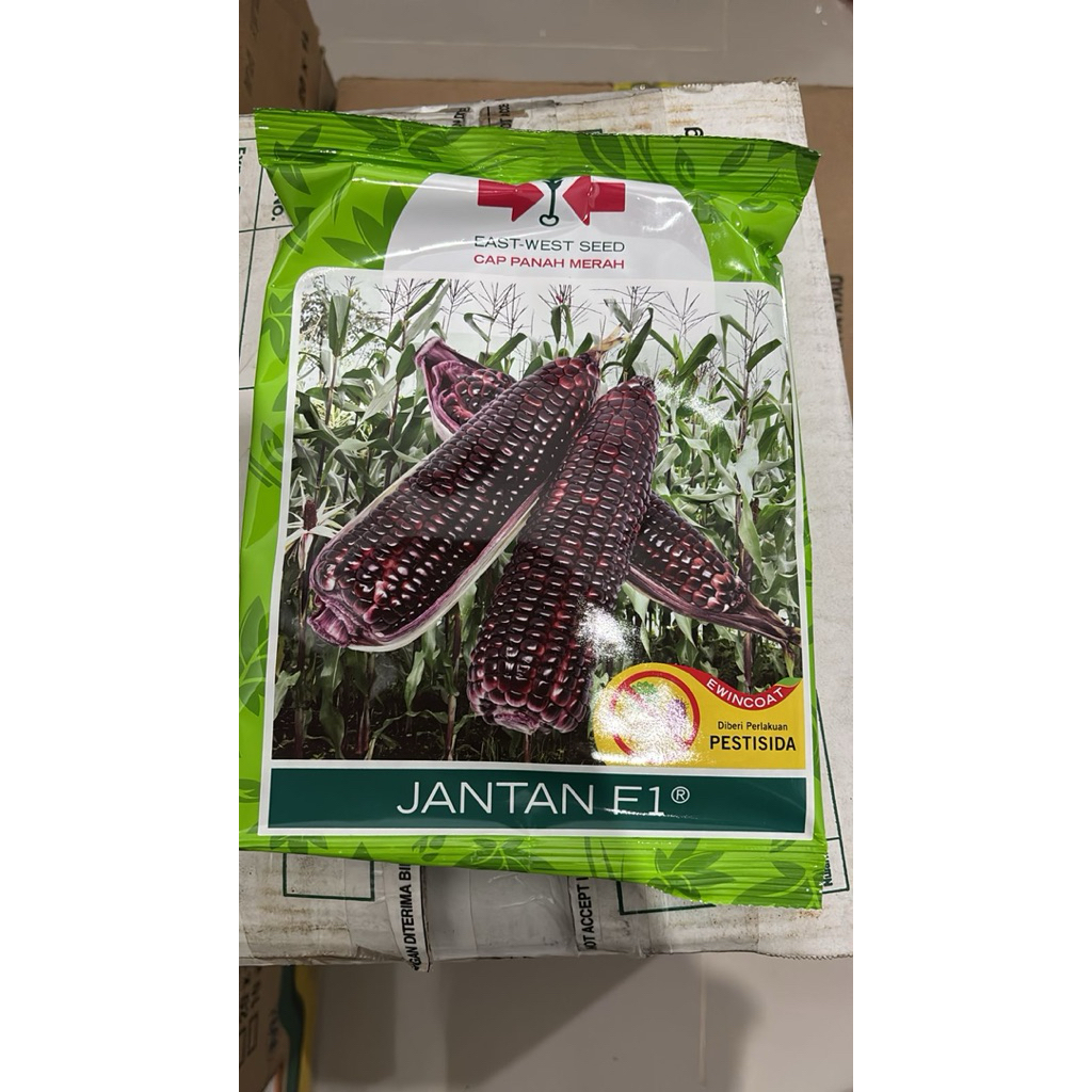 Benih Jagung Manis Ungu Jagung Jantan F1 250gram
