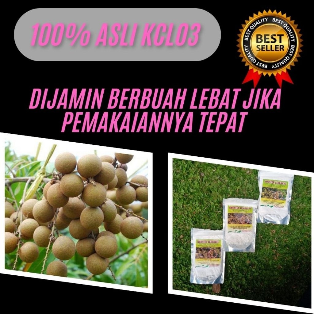 Boster Kelengkeng, Boster Kelengkeng Serbuk, Boster Kelengkeng Terbaik