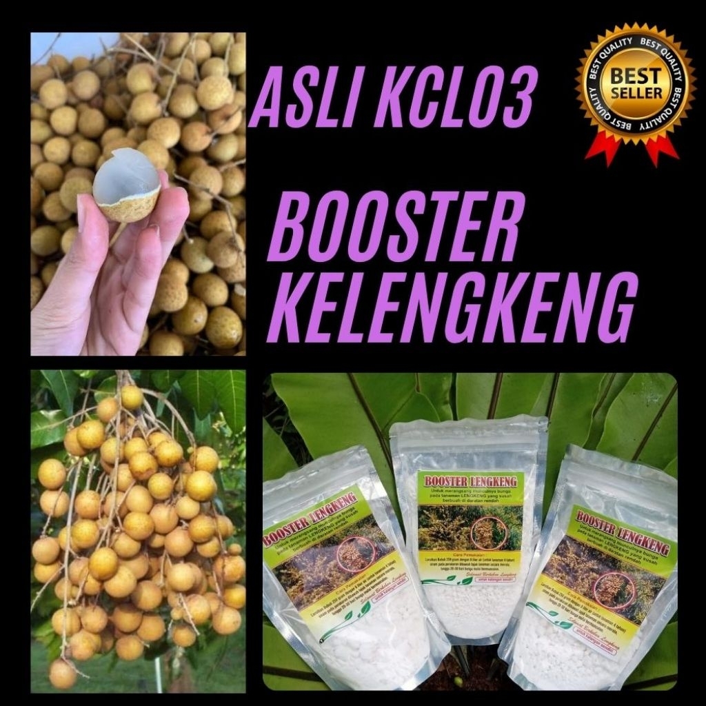 Pupuk Kelengkeng Kclo3