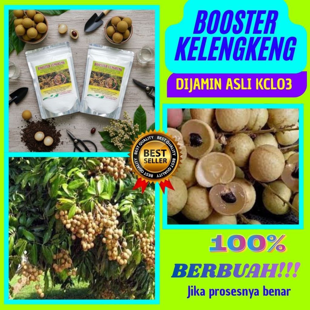 Pupuk Kelengkeng Kclo3