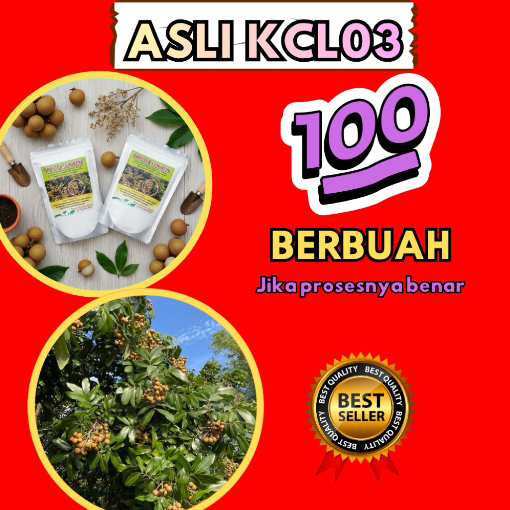 Booster Kelengkeng Murni 1 Kg, Booster Kelengkeng Kcl, Booster Kelengkeng Kclo3 Terdekat