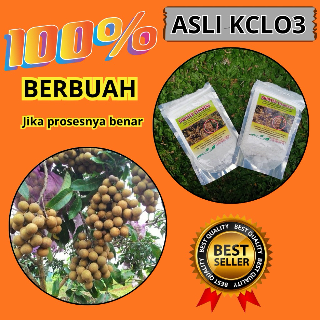 Boster Kelengkeng Kclo3 Terdekat, Boster Kelengkeng Kristal, Boster Kelengkeng Murni