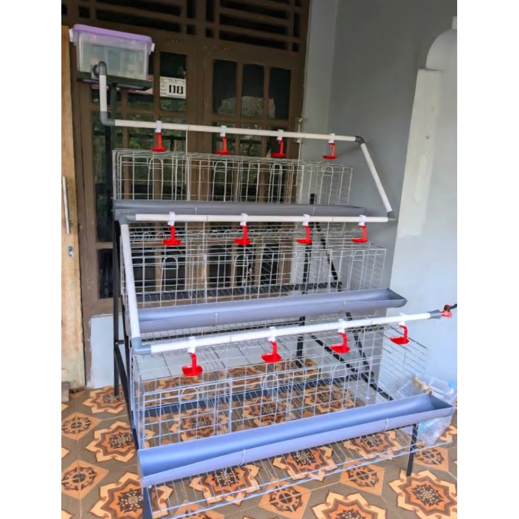 kandang ayam petelur