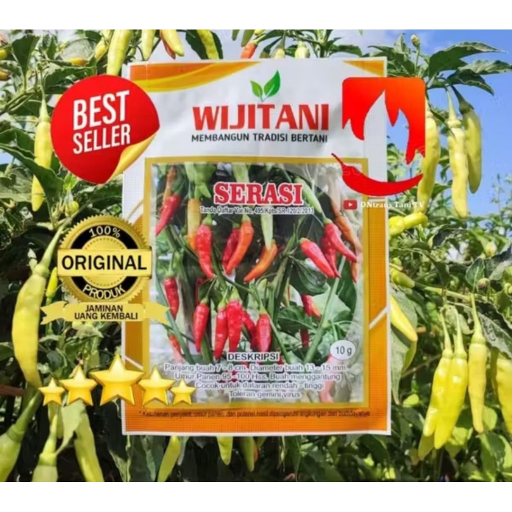 benih cabai rawit serasi 10gr