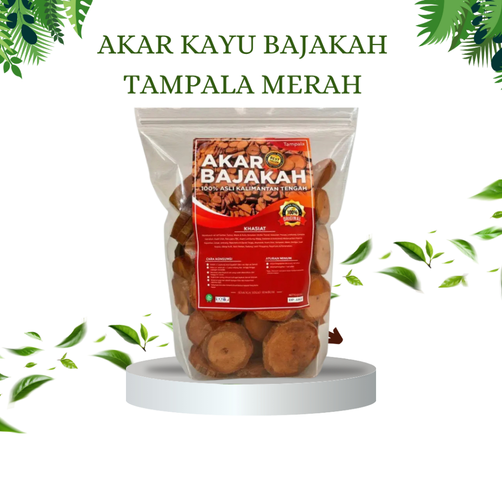Akar Kayu BAJAKAH TAMPALA MERAH