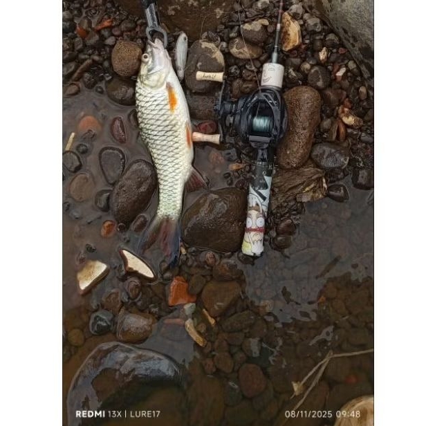 WTD GLUE STICK / WTD Turbo 6cm / WTD Splash / wtd top water / Wtd hampala / Wtd mini