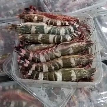 UDANG WINDU 500GRAM