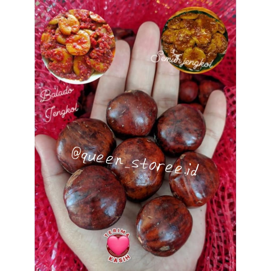 *Jengkol tua Kalimantan*
