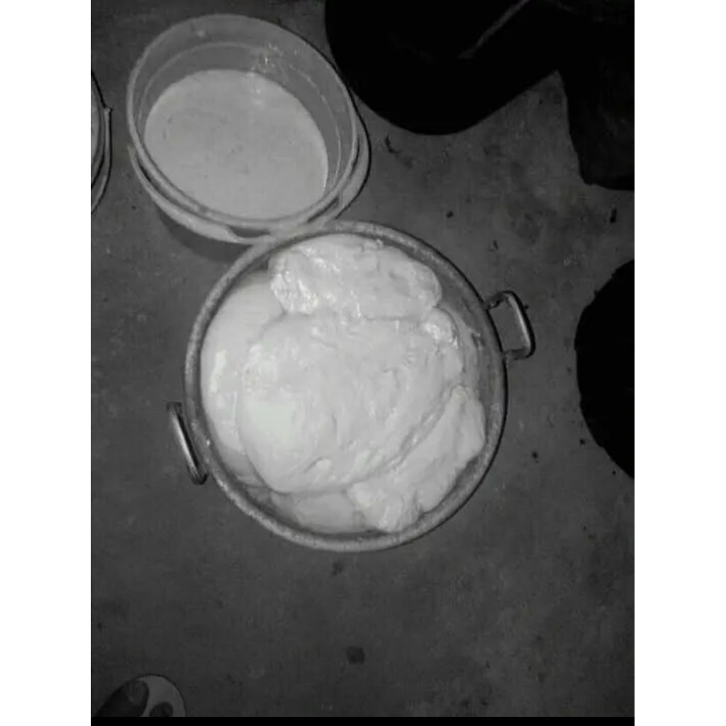 pulut burung siap pakai 1ons