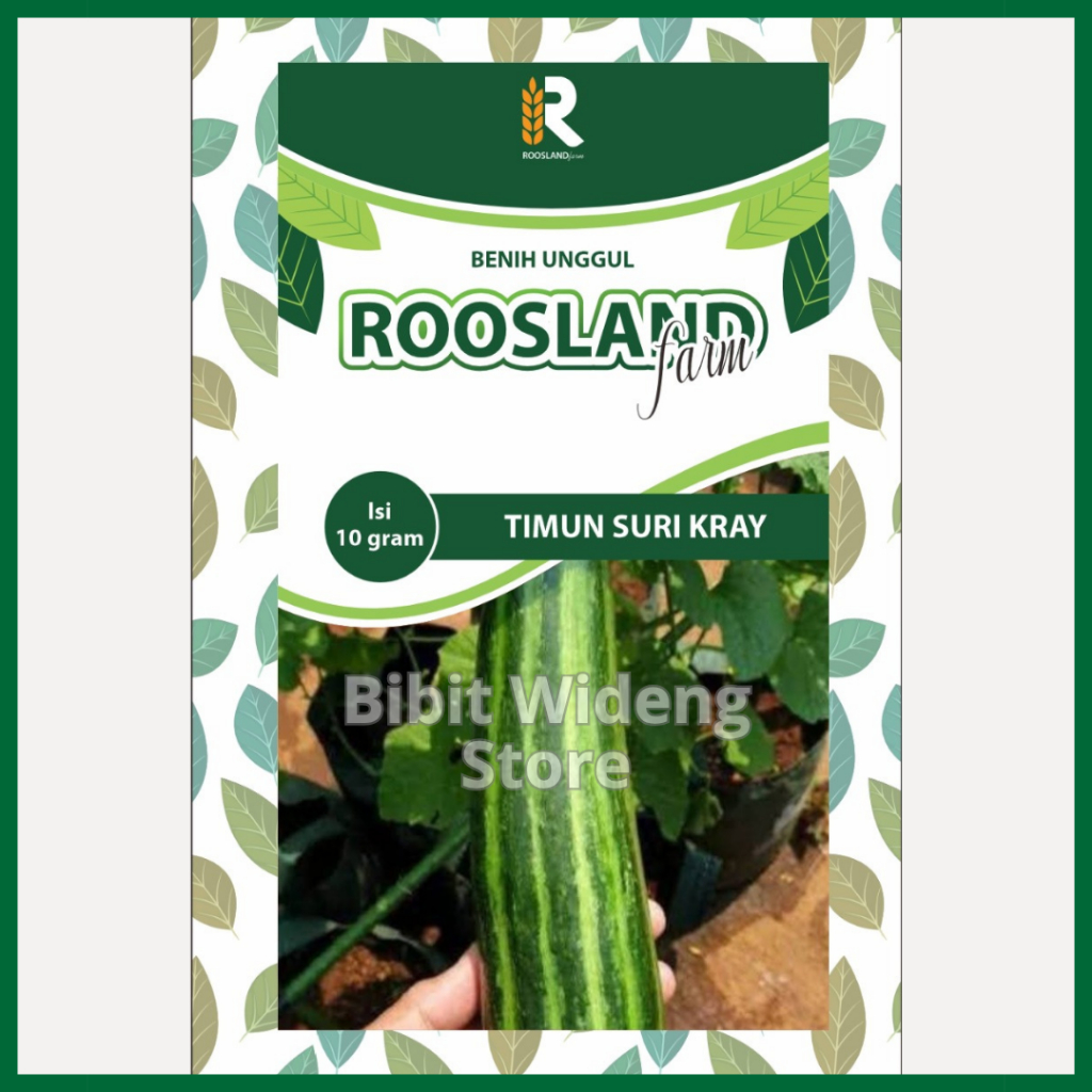 ( 10 GRAM ) BENIH TIMUN SURI KRAI LALAP | TIMUN LALAP KRAI | SURI KRAY LALAB