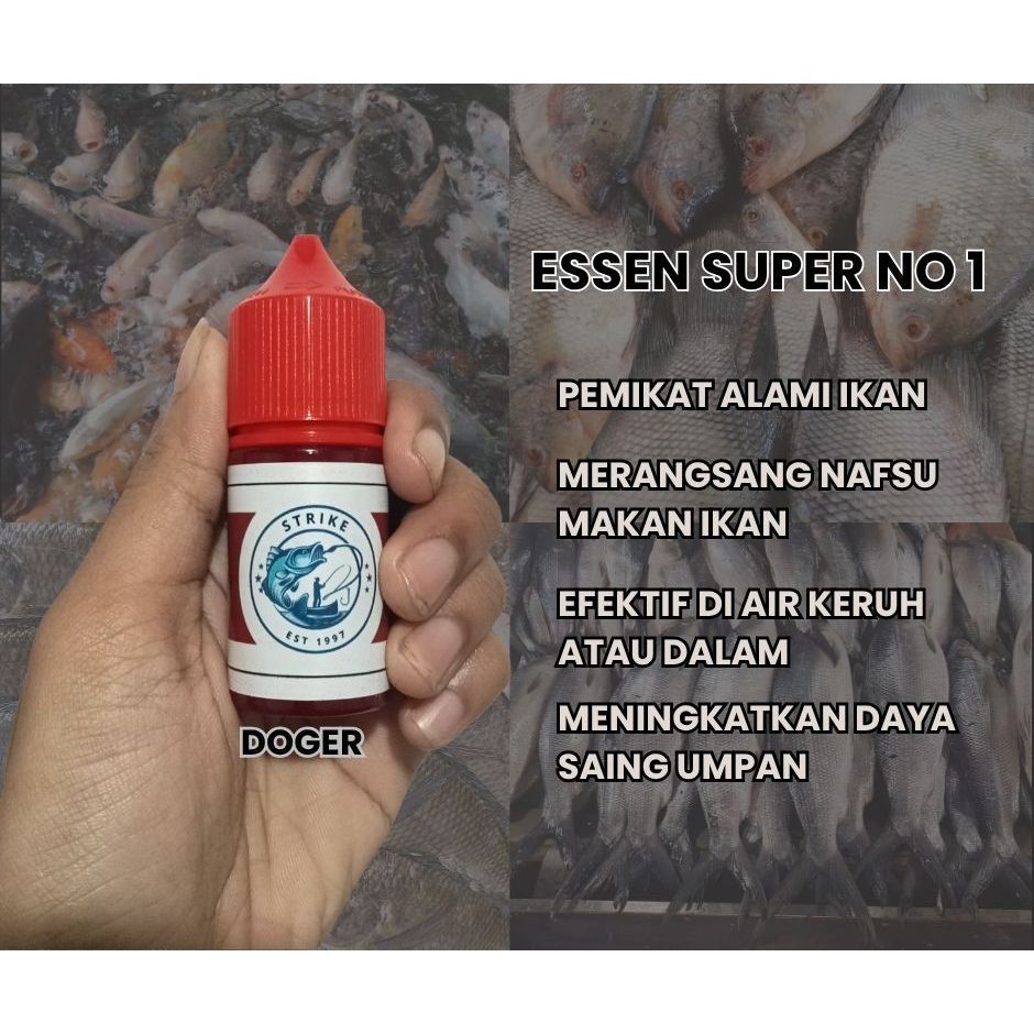 Esen ikan nila liar dan kolam/essen nila mujair Super