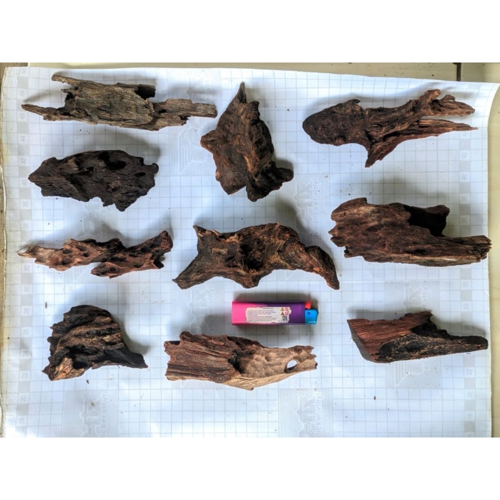 kayu rentek mini isi 10pcs cocok untuk detailing aquascape