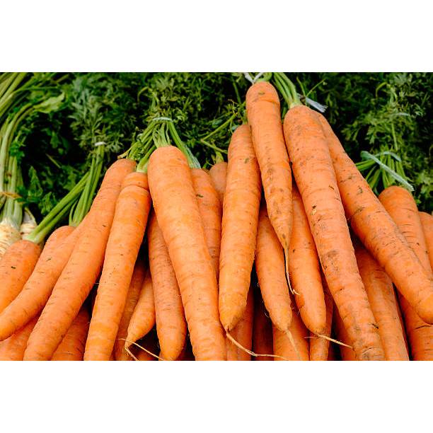 5 Biji Bibit Wortel Brastagi