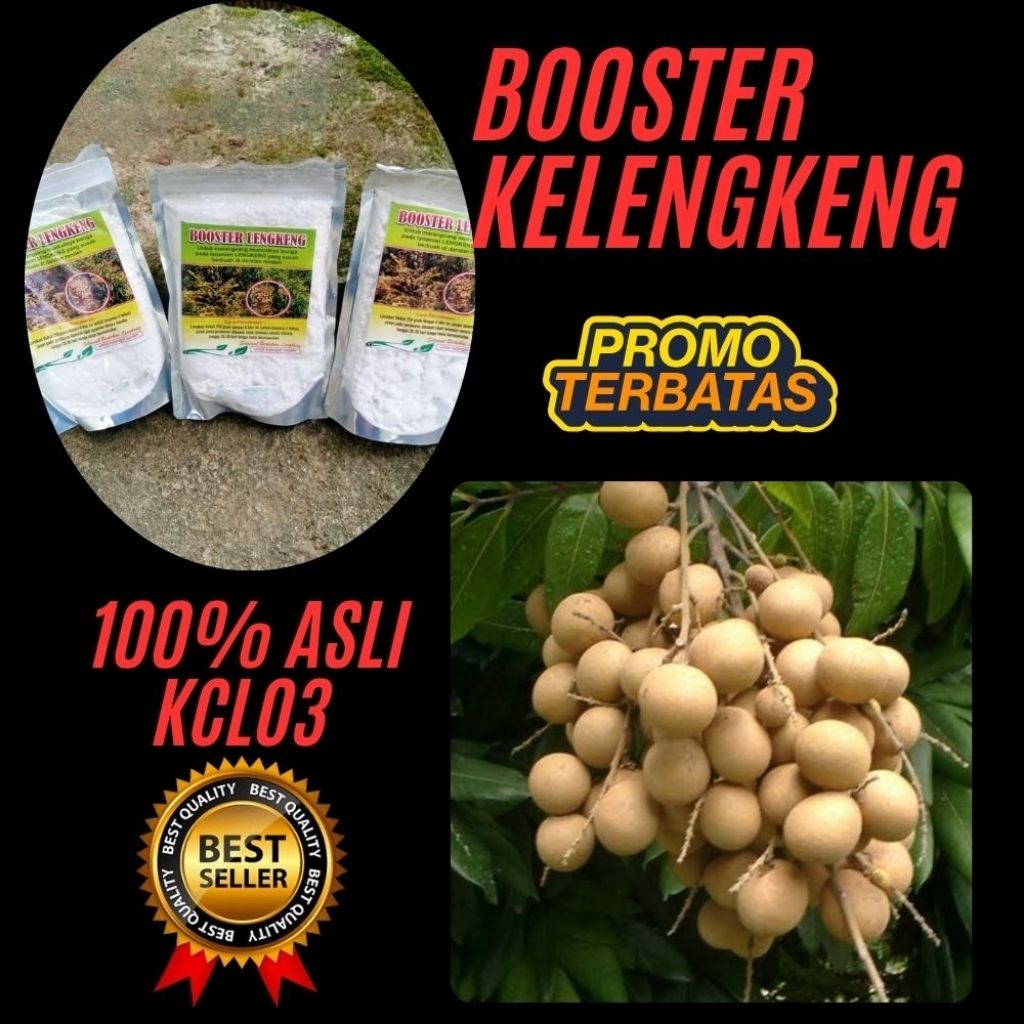 Pupuk Kelengkeng Kclo3, Pupuk Kelengkeng Merah