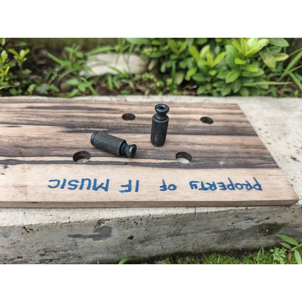 Pivot Tremolo Gitar Original Floydrose