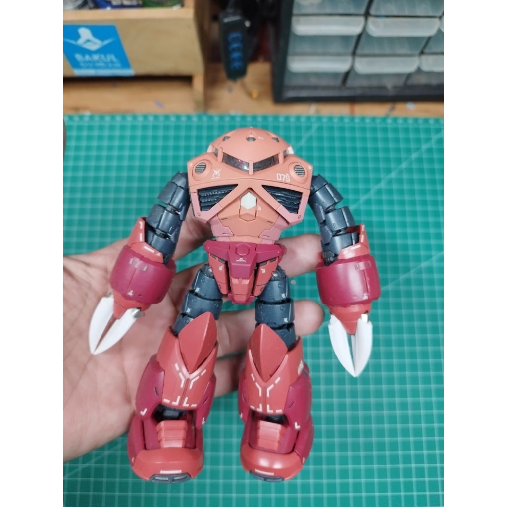 RG Z'gok 2nd