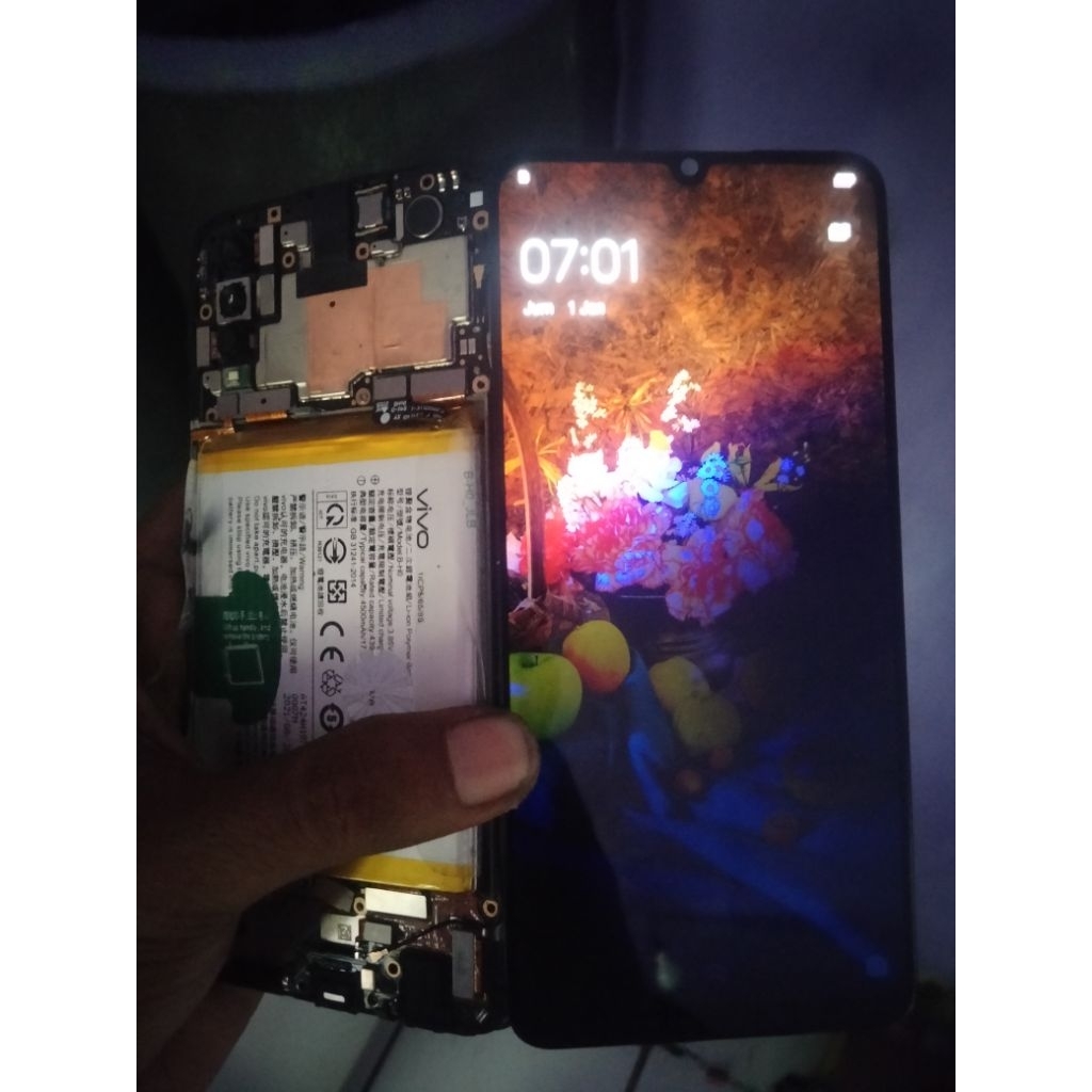 Lcd copotan Vivo S1 ORI copotan