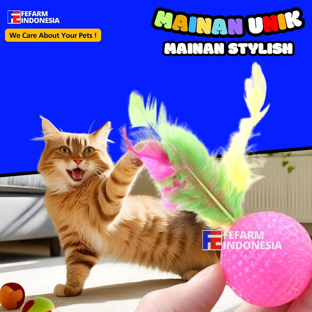 Mainan Kucing Bola Kucing Bola Bulu Warna Warni Mainan Bola Bulu Kucing Premium Quality Mainan Kucin