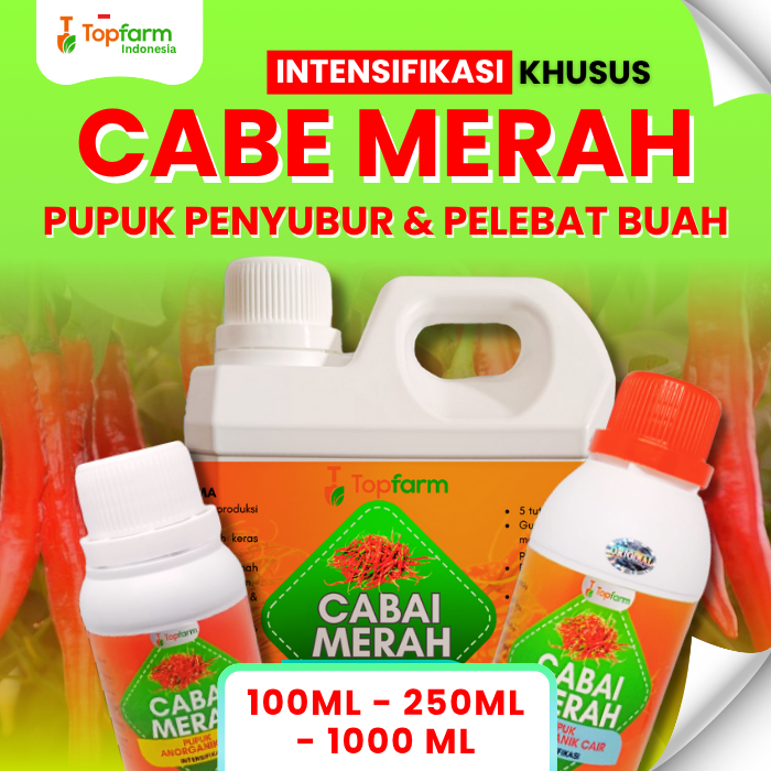 Pupuk Pelebat Buah Cabe Merah / Pupuk Tanaman Cabe Merah Terbaik / Pupuk Buah Tanaman Cabe Merah