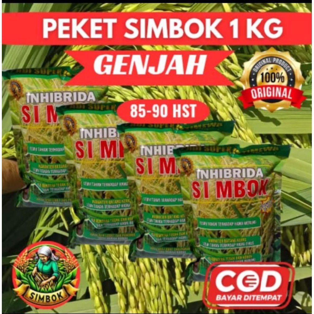 (1KG GENJAH) BENIH PADI SIMBOK UMUR PENDEK UMUR 85-9 HST