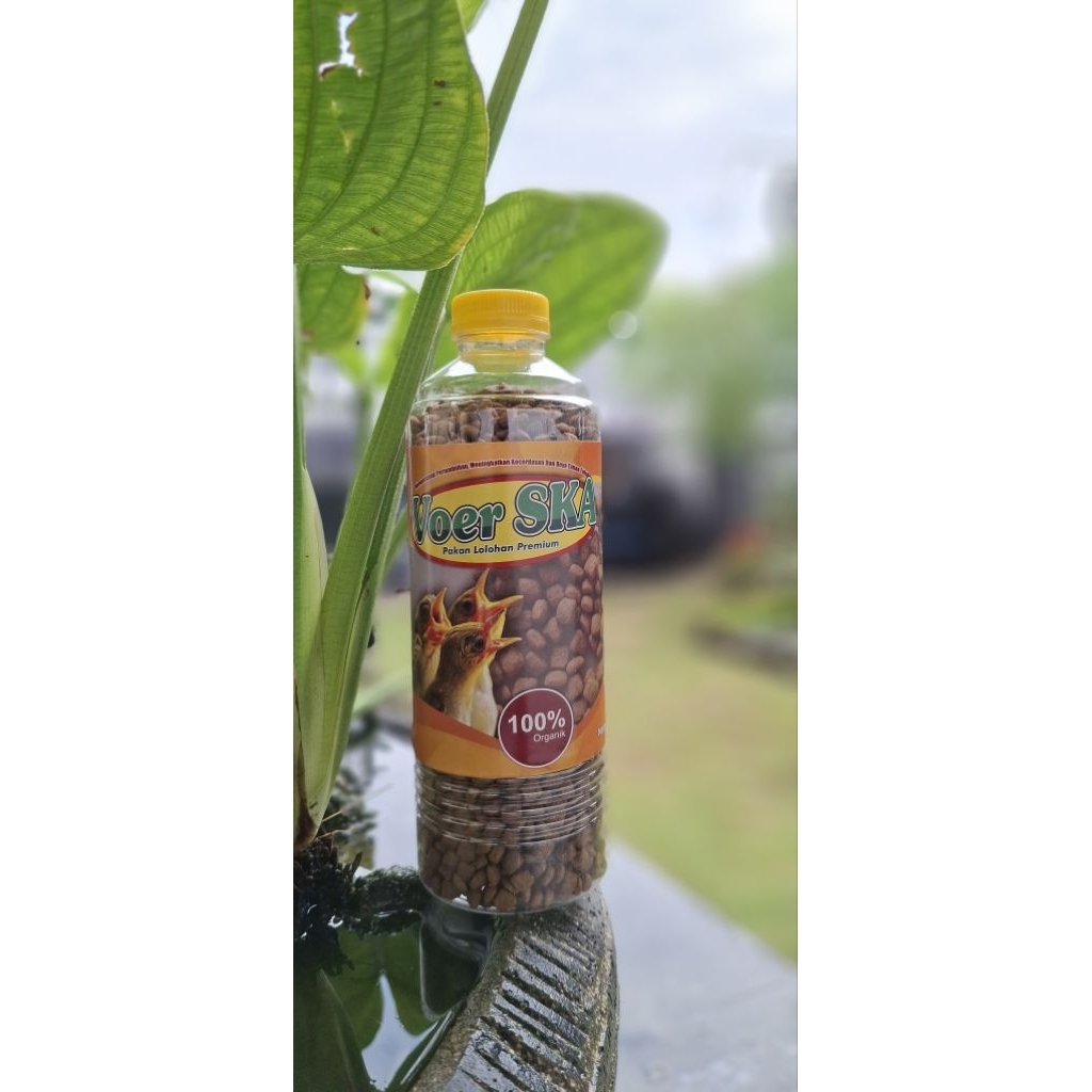 Voer Platinum, Pakan Lolohan Platinum (Murai, Cucak Rowo, Kacer, Anis Merah, Anis Kembang)