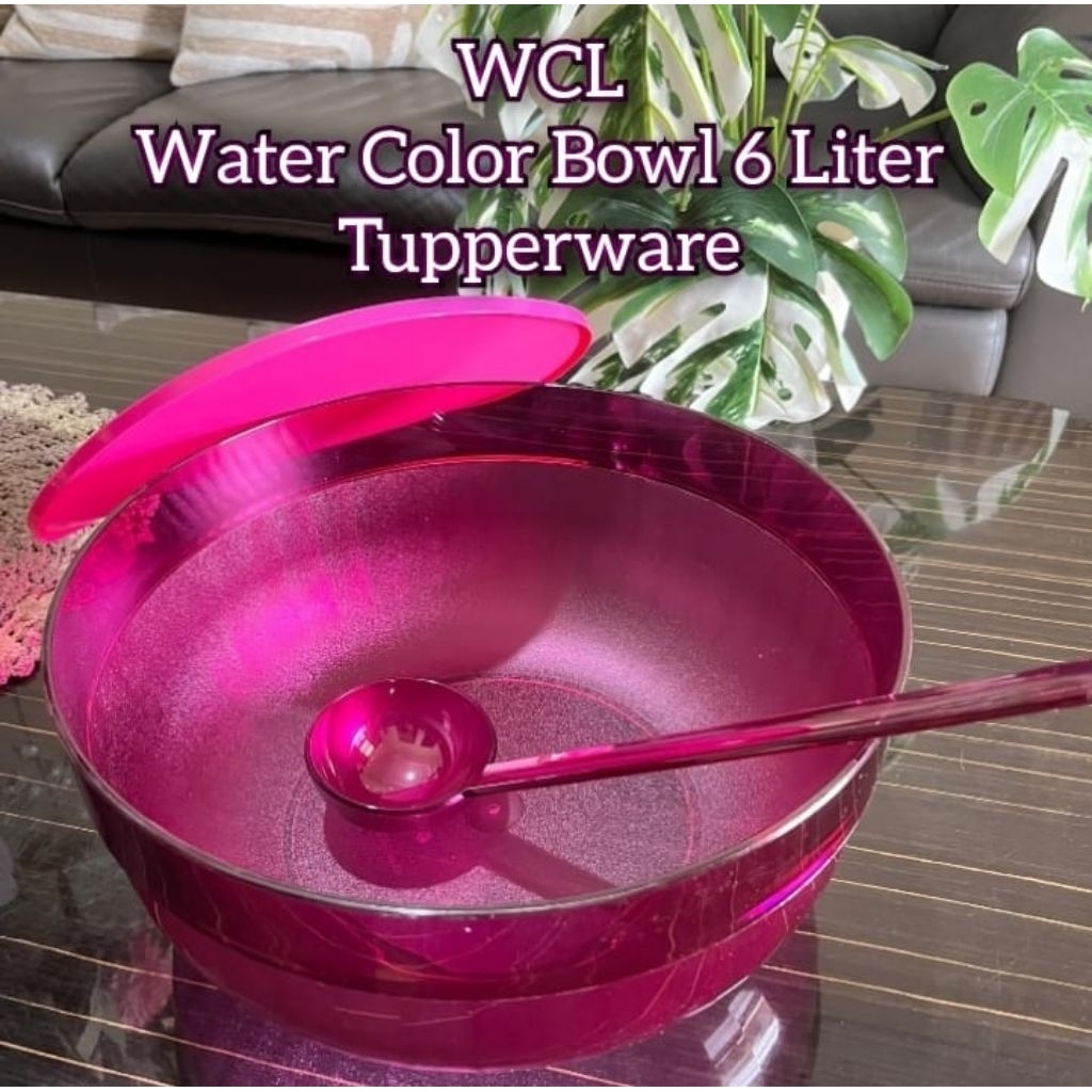 Watercolor Bowl 6 Liter plus centong dan tutup WTC
