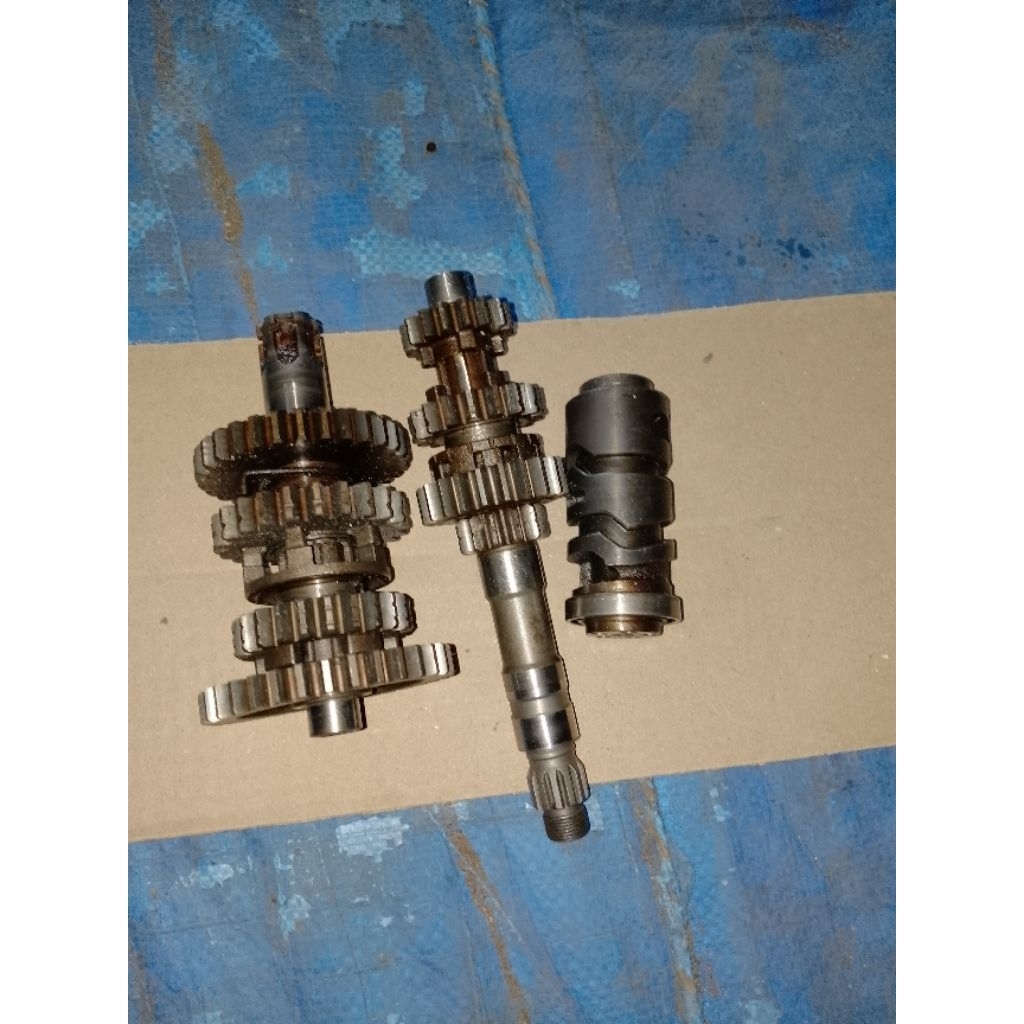 gigi rasio jupiter z1