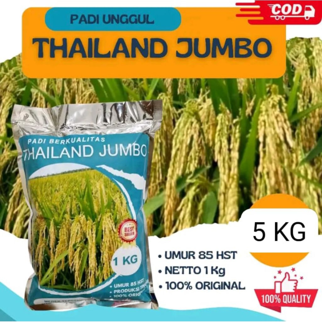 (5KG)BENIH PADI BERKUALITAS THAILAND JUMBO ORIGINAL