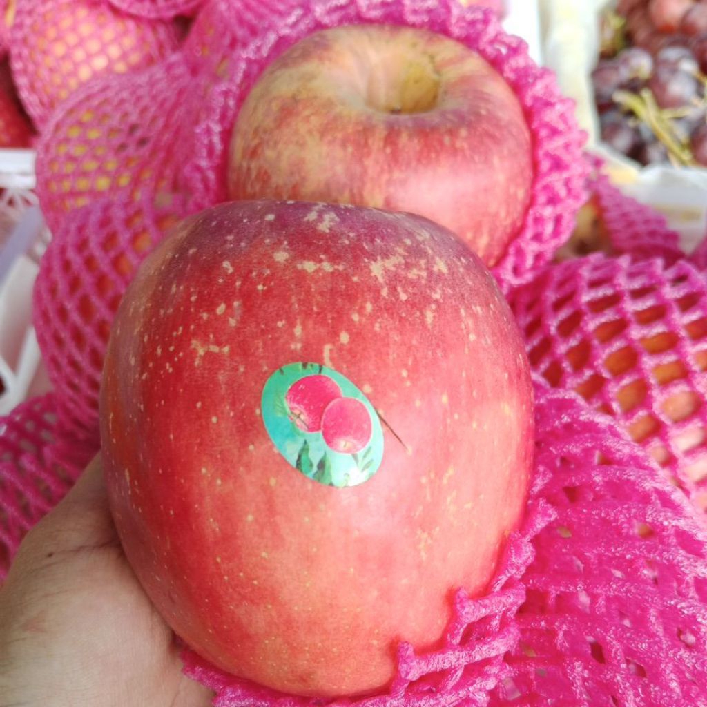 Apel Fuji merah/apel fuji manis/apel