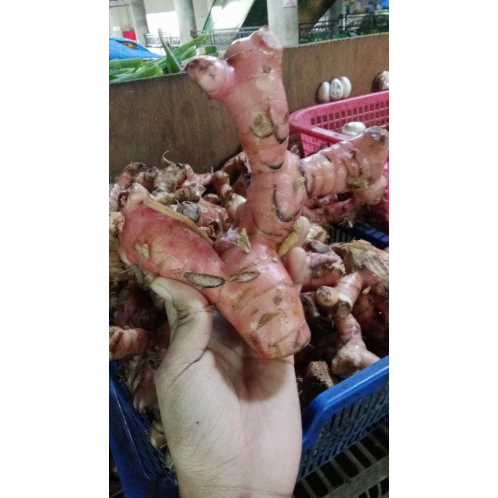 Lengkuas/ Rempah Pasar Induk 500g