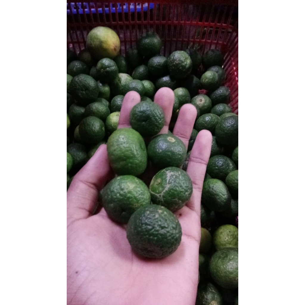 Jeruk Limau Asam Manis 10gr