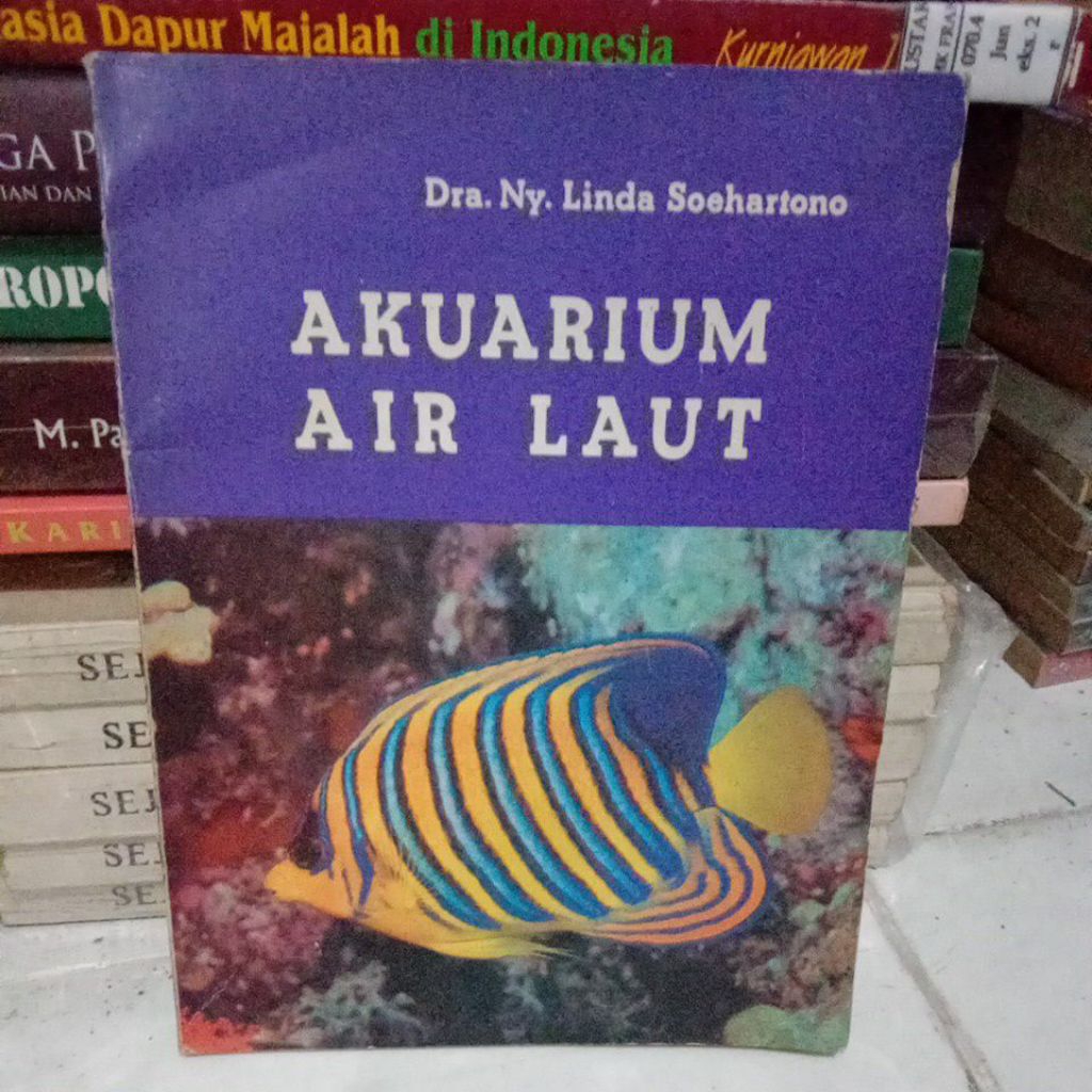 akuarium air laut