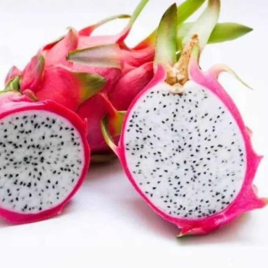 BUAH NAGA PUTIH SEGAR FRESH 1KG SURABAYA